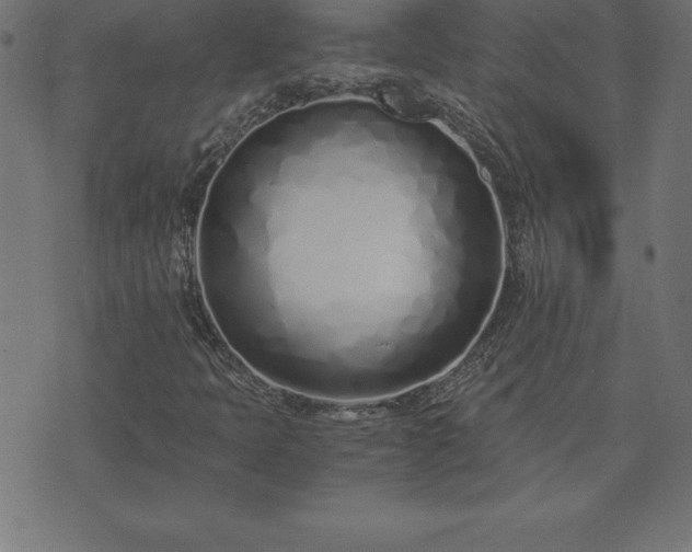 X0000073901397200608180947