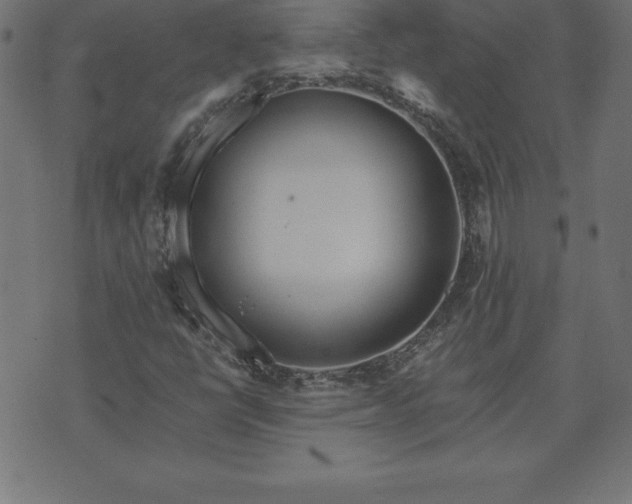 X0000073901398200608180947