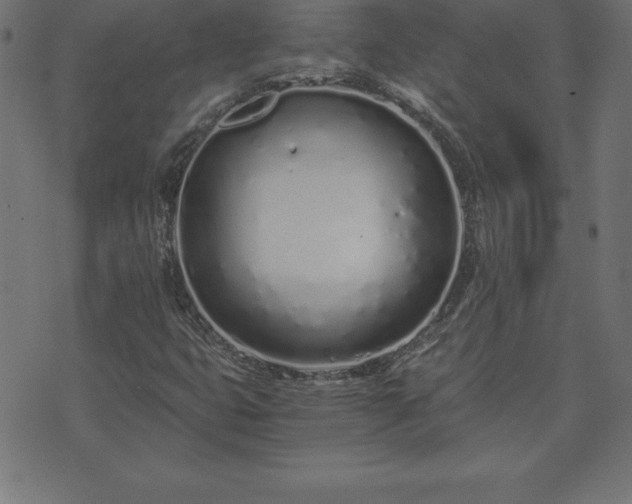 X0000073901399200608180947