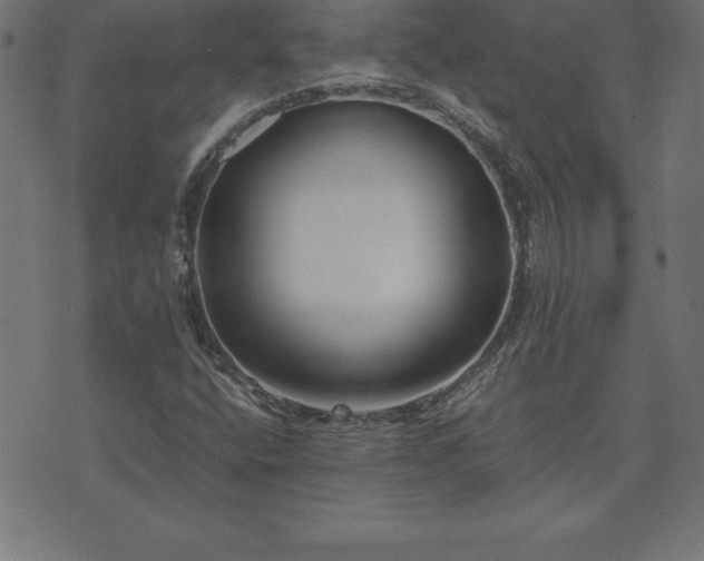 X0000073901400200608180947