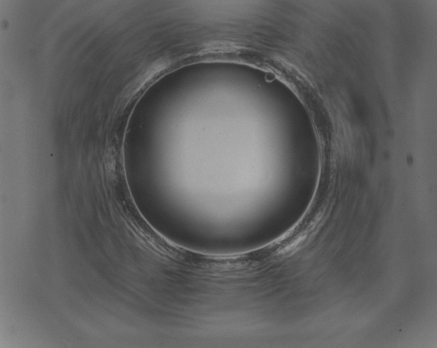 X0000073901401200608180947