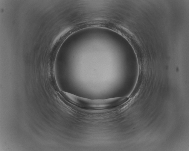 X0000073901402200608180947