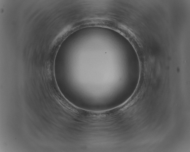 X0000073901403200608180947