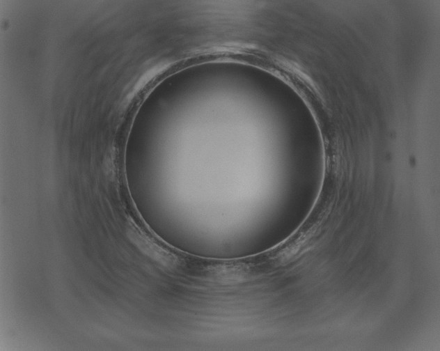 X0000073901404200608180947