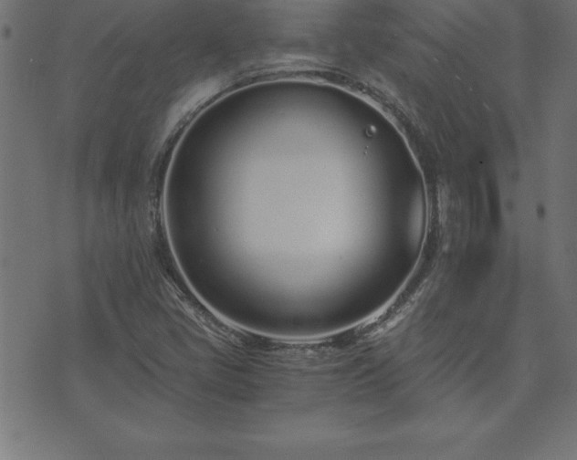 X0000073901405200608180947