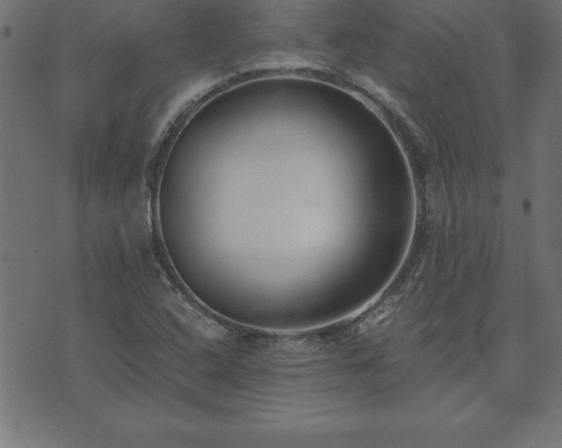 X0000073901408200608180947