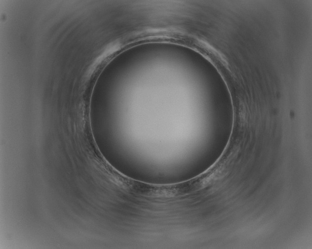 X0000073901411200608180947