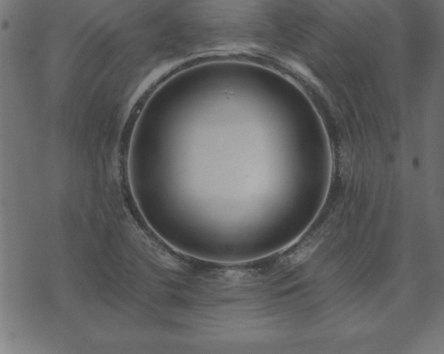 X0000073901412200608180947