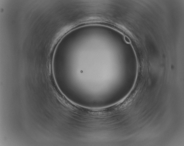 X0000073901413200608180947