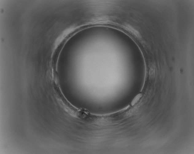 X0000073901414200608180947