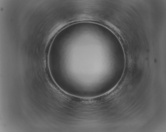 X0000073901415200608180947