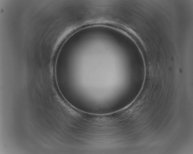 X0000073901416200608180947