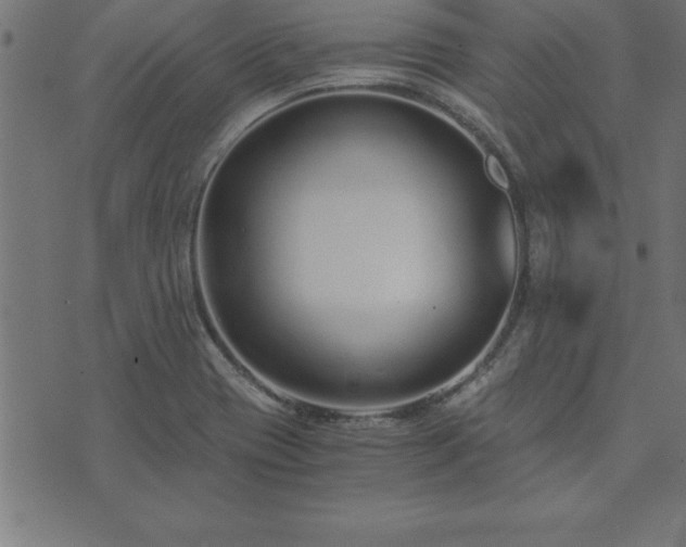 X0000073901417200608180947