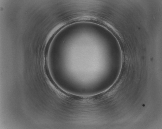 X0000073901418200608180947