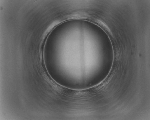 X0000073901419200608180947