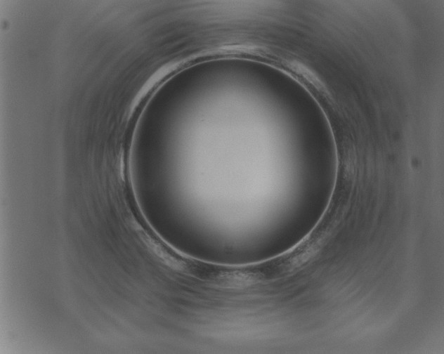 X0000073901420200608180947