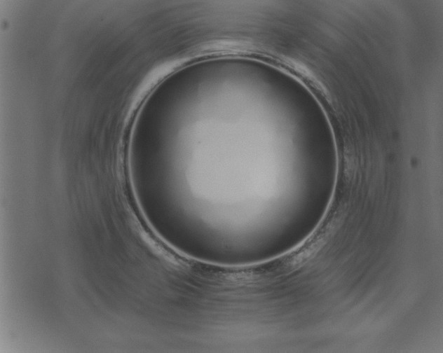 X0000073901421200608180947