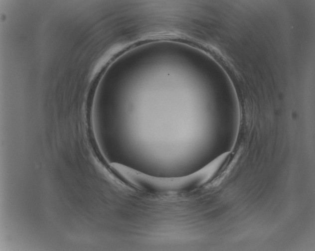 X0000073901422200608180947