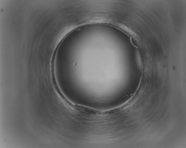 X0000073901423200608180947