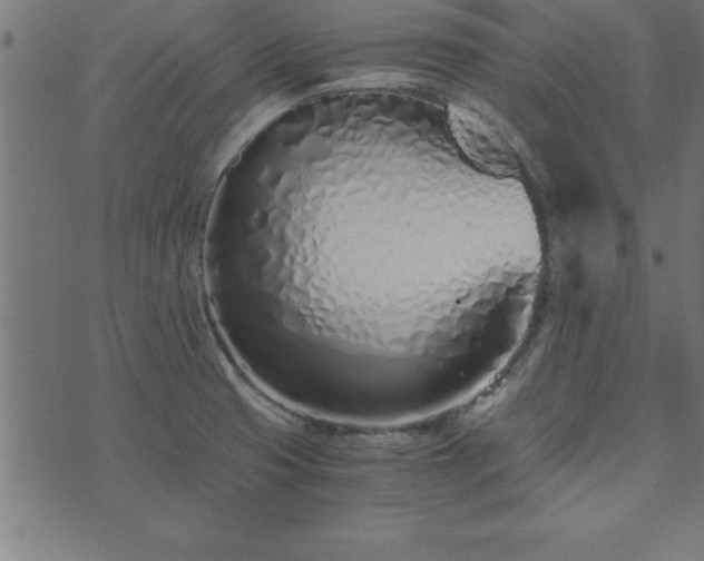 X0000073901425200608180947