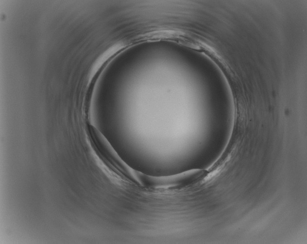 X0000073901426200608180947