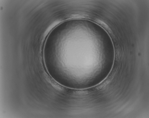 X0000073901427200608180947