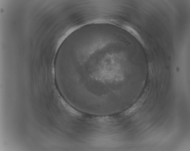 X0000073901428200608180947