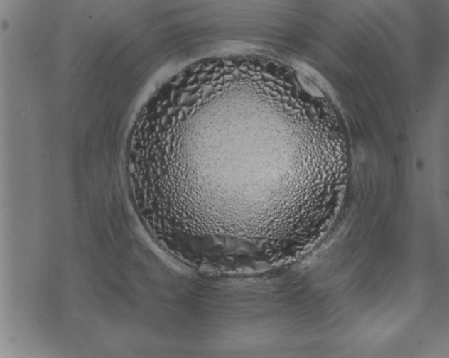 X0000073901429200608180947