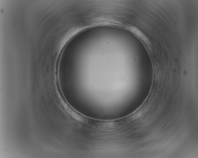 X0000073901431200608180947