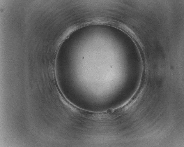 X0000073901433200608180947