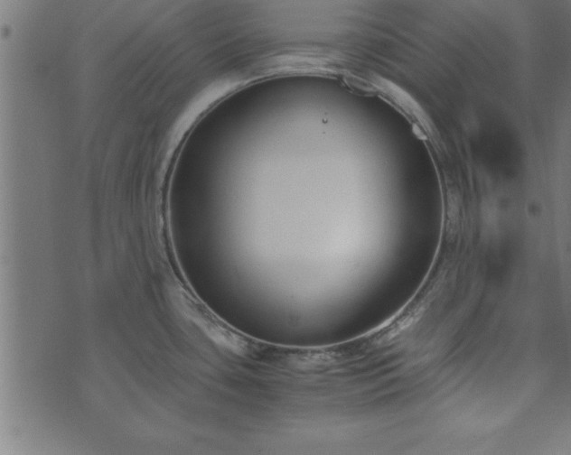 X0000073901435200608180947