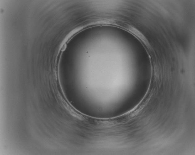 X0000073901436200608180948