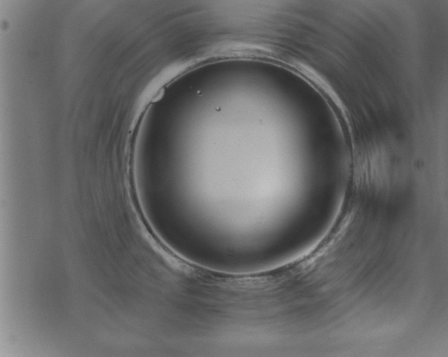 X0000073901437200608180948