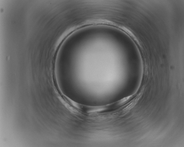 X0000073901438200608180948