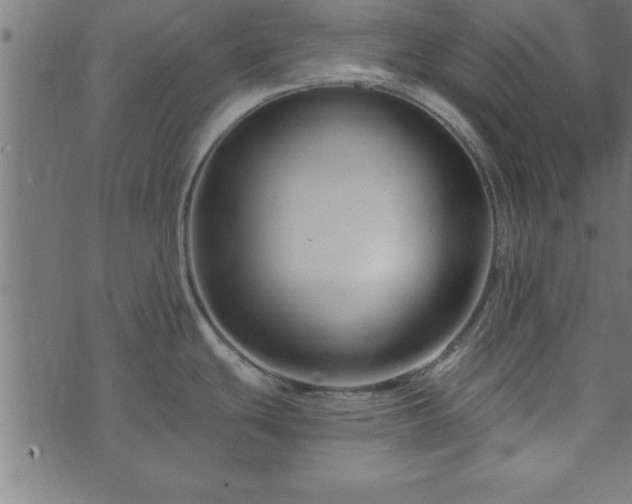 X0000073901439200608180948