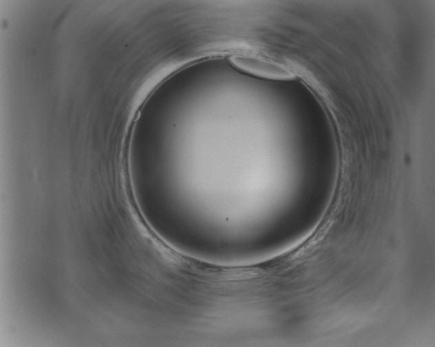 X0000073901440200608180948