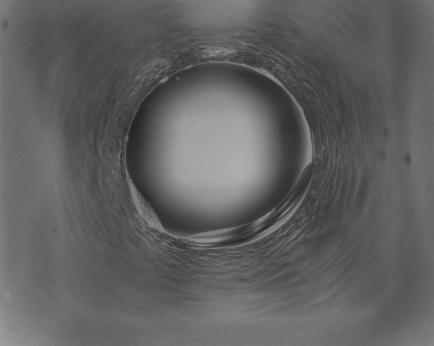 X0000073901441200608180947