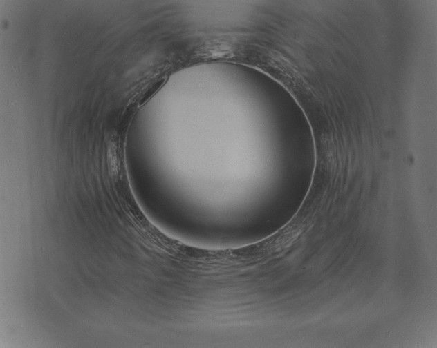 X0000073901442200608180947