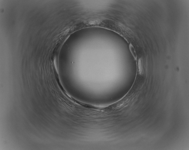 X0000073901443200608180947