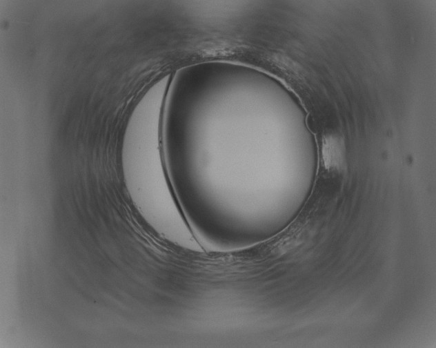 X0000073901444200608180947