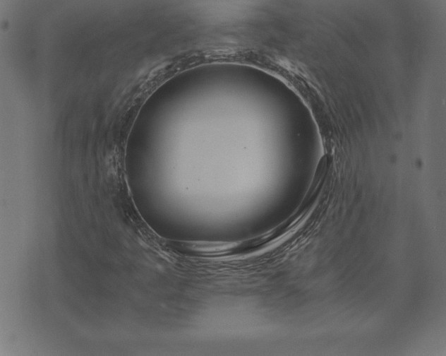 X0000073901445200608180947