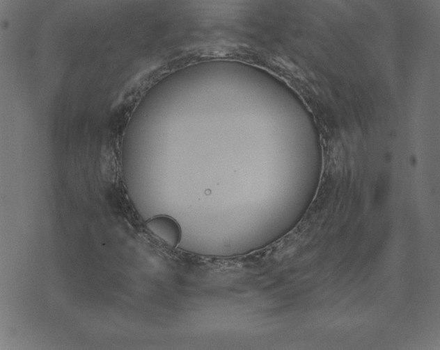 X0000073901446200608180947