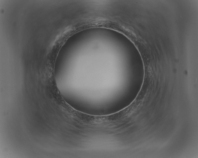 X0000073901447200608180947