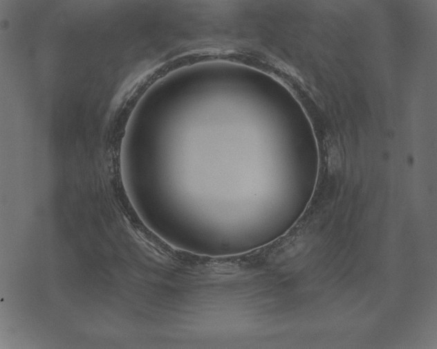 X0000073901448200608180947