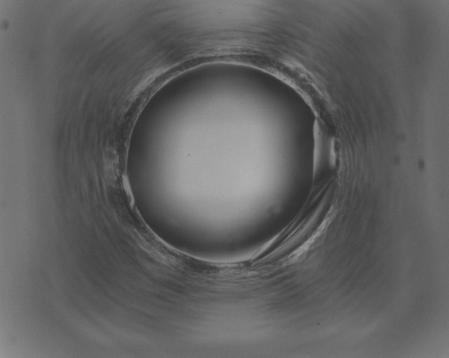 X0000073901449200608180947