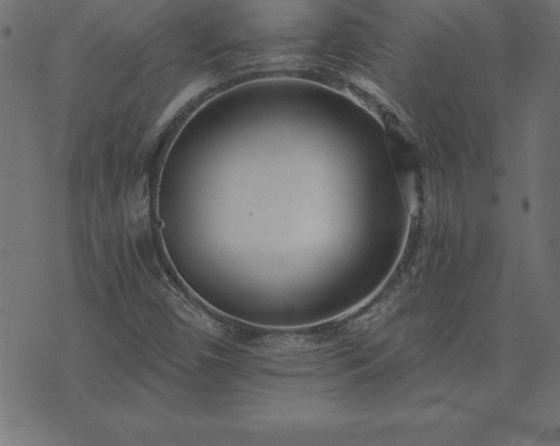 X0000073901450200608180947