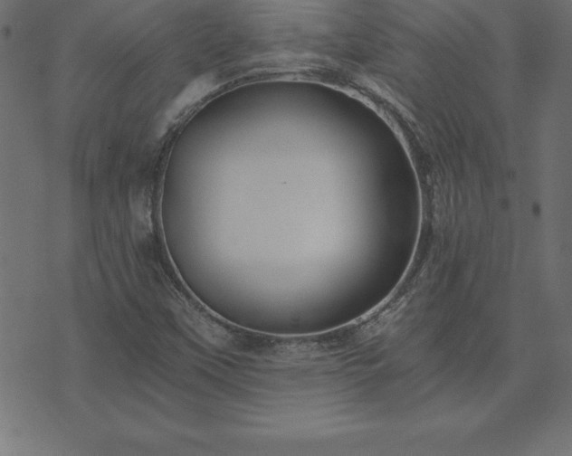 X0000073901451200608180947