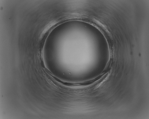 X0000073901453200608180947