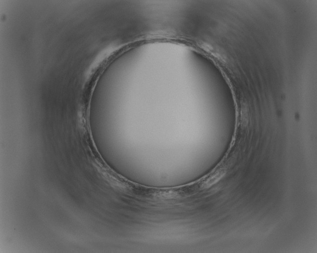 X0000073901454200608180946