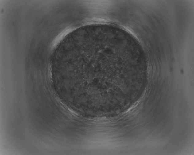 X0000073901455200608180946